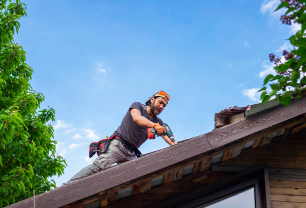 Waterproofing in Elk Ridge, UT